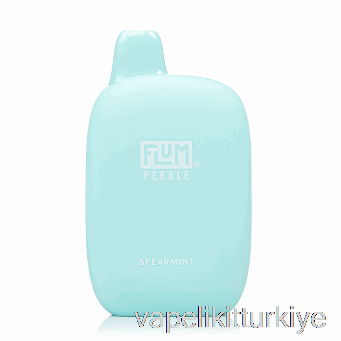 Elektronik Sigara Kalemi Vape Mate Flum çakıl 6000 Tek Kullanımlık Nane